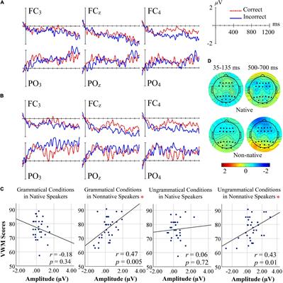 First Event-Related Potentials Evidence of Auditory Morphosyntactic Processing in a Subject-Object-Verb Nominative-Accusative Language (Farsi)